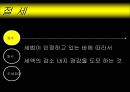 금융종합소득세 절세방안 ppt 15페이지