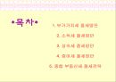 절세방안 ppt  2페이지
