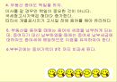 절세방안 ppt  26페이지