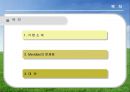 [국제경영론] Median 마그네슘 국제 기술 이동 (Meridian Magnesium)  2페이지