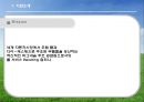 [국제경영론] Median 마그네슘 국제 기술 이동 (Meridian Magnesium)  3페이지