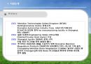 [국제경영론] Median 마그네슘 국제 기술 이동 (Meridian Magnesium)  6페이지