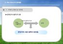 [국제경영론] Median 마그네슘 국제 기술 이동 (Meridian Magnesium)  10페이지