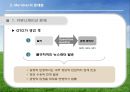 [국제경영론] Median 마그네슘 국제 기술 이동 (Meridian Magnesium)  11페이지