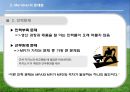 [국제경영론] Median 마그네슘 국제 기술 이동 (Meridian Magnesium)  13페이지