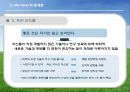 [국제경영론] Median 마그네슘 국제 기술 이동 (Meridian Magnesium)  16페이지