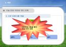 [국제경영론] Median 마그네슘 국제 기술 이동 (Meridian Magnesium)  24페이지