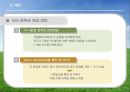 [국제경영론] Median 마그네슘 국제 기술 이동 (Meridian Magnesium)  25페이지