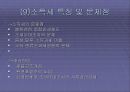소득세 (所得稅)  15페이지