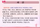 소득세 (所得稅)  3페이지