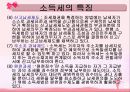 소득세 (所得稅)  11페이지
