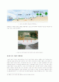 한국의 4대강 사업의 문제점과 발전 방향에 관한 연구 (4대강 정비사업의 개념과 추진배경, 정비사업의 기대 효과, 현황, 예산, 마스터플랜의 주요내용, 해외 사례, 문제점, 성공적 실현 조건, 발전 방안) 25페이지