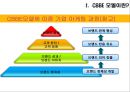 CBBE 모델 소개 및 적용-대한항공 사례분석(CBBE 모델적용),대한항공 마케팅사례,항공마케팅,브랜드마케팅,서비스마케팅,글로벌경영,사례분석,swot,stp,4p 10페이지