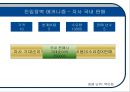 CE 마크-비관세 장벽 모델링과 대책,CE 시장 및 자사분석,진입장벽 메커니즘,브랜드마케팅,서비스마케팅,글로벌경영,사례분석,swot,stp,4p 8페이지