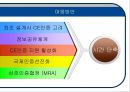 CE 마크-비관세 장벽 모델링과 대책,CE 시장 및 자사분석,진입장벽 메커니즘,브랜드마케팅,서비스마케팅,글로벌경영,사례분석,swot,stp,4p 11페이지
