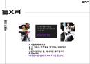 EXR- 브랜드마케팅,EXR 제품전략,EXR 기능성,EXR 스포츠마케팅,브랜드마케팅,서비스마케팅,글로벌경영,사례분석,swot,stp,4p 3페이지