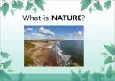  Who was Emerson?, Transcendentalism, Check up!, Analysis, Discussion, What is nature? [영어, 영문].pptx 24페이지
