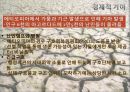 구조적 기아란 무엇인가-기아의 정의,기아의 분류 10페이지