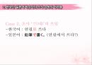 렉시콘 The Lexicon 심성어휘집. 특정한 범위 내에서 사용되는 낱말의 총집합 (Lexicon 정의, 제2언어습득의 쟁점).pptx 13페이지