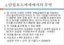노동생산성과 비교우위론-리카르도 모형,비교우위의 개념,단일요소경제,다수재의 비교우위론,수송비와 비교역재,리카르도 모형에 대한 실증적 연구 7페이지