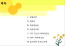 대차대조표-경영이란,재무란,재무제표란 2페이지