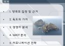 독도 마케팅전략-양국의 입장 및 근거,독도의 가치,브랜드마케팅,서비스마케팅,글로벌경영,사례분석,swot,stp,4p 2페이지
