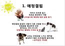 그녀가 움직이기 시작했다 - 『사씨남정기(謝氏南征記)』 사씨남정기 책소개, 줄거리, 김만중, 이유있는 교씨의 악행, 애정결핍, 악행을 저지르도록 한 주변인들의 행동, ‘첩’으로 살기 힘들었던 세상.pptx 10페이지