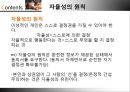 [의료문제의 윤리적 성찰] 장애아 문제 (장애아동의 정의, 장애의 발생과정, 장애범주, 장애아동의 법, 장애아동의 원인, 장애아동에 대한 윤리적 문제의 대두와 쟁점, 공리주의, 의무론).pptx
 18페이지