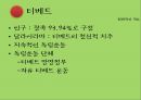 중국의 소수민족 문제-티베트,위구르,내몽고,국제반응,토착민의 빈곤과 소외,문화적 측면,지리적 측면,군사력 동원,정치적 측면 3페이지
