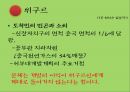 중국의 소수민족 문제-티베트,위구르,내몽고,국제반응,토착민의 빈곤과 소외,문화적 측면,지리적 측면,군사력 동원,정치적 측면 8페이지