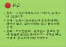 중국의 소수민족 문제-티베트,위구르,내몽고,국제반응,토착민의 빈곤과 소외,문화적 측면,지리적 측면,군사력 동원,정치적 측면 12페이지