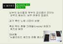 재즈의 역사-뉴 올리언즈 재즈,1920년대 재즈,뉴 올리언즈 소개,뉴 올리언즈 재즈의 특징 4페이지