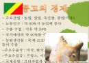 콩고-소개,콩고의 기후,콩고의 경제,콩고의 교육,콩고의 문화,인구구성,콩고 강 10페이지