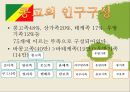 콩고-소개,콩고의 기후,콩고의 경제,콩고의 교육,콩고의 문화,인구구성,콩고 강 13페이지