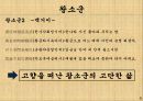 중국의 4대 미인-서시,왕소군,초선,양귀비,당대 시인들의 평가,고전소설 홍루몽 9페이지