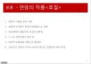 허생전과 호질,연암의 작품-연암 박지원,허생전작품소개 줄거리,호질의 작품소개 줄거리,연암의 작품인 근거 12페이지