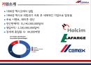 해외직접투자 사례 연구-멕시코 시멘트 시장,국내 시장 성공 요인,해외 시장 진출,성공실패 사례,성공요인,브랜드마케팅,서비스마케팅,글로벌경영,사례분석,swot,stp,4p 3페이지