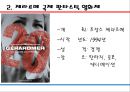 프랑스 영화제-본 스릴러 국제 영화제,제라르메 국제 판타스틱 영화제,안시 국제 애니메이션  페스티벌,칸 영화제 7페이지