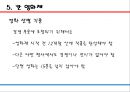 프랑스 영화제-본 스릴러 국제 영화제,제라르메 국제 판타스틱 영화제,안시 국제 애니메이션  페스티벌,칸 영화제 20페이지