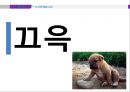 조직 행동론 - 스타플레이어, 기업과 스타플레이어, 조직과 스타플레이어, 전문가의 의견, 대안.pptx 21페이지