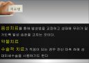 특수교육론-의사소통장애,조음음운 장애,유창성 장애,음성 장애,언어장애 13페이지