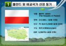 폴란드 및 비교국가 선정동기 폴란드 소개 및 선정 동기,폴란드 경제성장률,브랜드마케팅,서비스마케팅,글로벌경영,사례분석,swot,stp,4p 3페이지