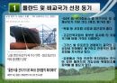 폴란드 및 비교국가 선정동기 폴란드 소개 및 선정 동기,폴란드 경제성장률,브랜드마케팅,서비스마케팅,글로벌경영,사례분석,swot,stp,4p 4페이지