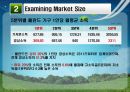 폴란드 및 비교국가 선정동기 폴란드 소개 및 선정 동기,폴란드 경제성장률,브랜드마케팅,서비스마케팅,글로벌경영,사례분석,swot,stp,4p 10페이지