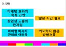 인터넷 비즈니스론-바이럴 마케팅 정의소개,바이럴 마케팅의 사례,세계 온라인 광고시장,브랜드마케팅,서비스마케팅,글로벌경영,사례분석,swot,stp,4p 15페이지