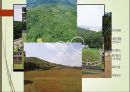 조선 왕릉을 통해 살펴본 조선 - 동구릉 (東九陵) 동구릉의 역사, 왕릉 구조, 능침공간의 구조, 능의 유형, 능 별 특징 비교.pptx 7페이지
