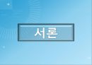 SOA 환경,의류 생산지원 시스템 설계 및 구현,SOA 도입 사례,현재 다품종 소량생산,브랜드마케팅,서비스마케팅,글로벌경영,사례분석 12페이지