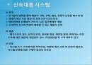 SOA 환경,의류 생산지원 시스템 설계 및 구현,SOA 도입 사례,현재 다품종 소량생산,브랜드마케팅,서비스마케팅,글로벌경영,사례분석 23페이지