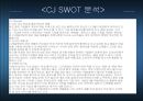 CJ 기업 분석-CJ 경영방침,CJ 주요사업,CJ 채용제도,CJ채용프로세스,CJ 종합적성검사,브랜드마케팅,서비스마케팅,글로벌경영,사례분석,swot,stp,4p 17페이지