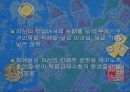 귀인 이론의 개념,귀인 이론과 학업 성취,귀인과 학업 동기,Bernard Weiner의 귀인 이론 ppt 17페이지